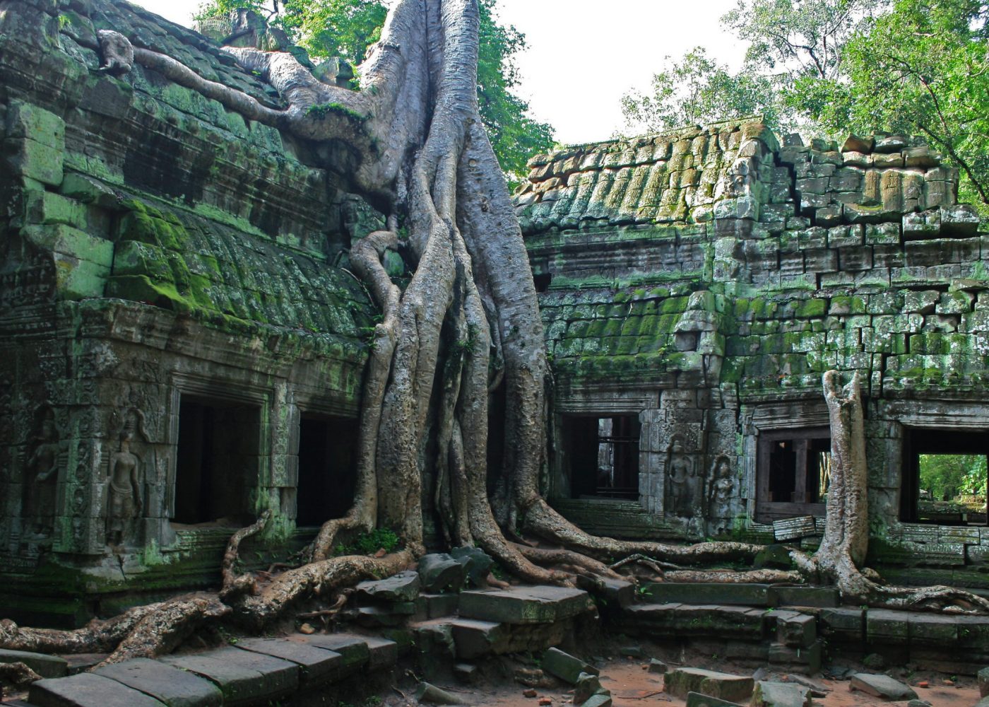 Ta Prohm Temple, Angkor Wat | deanstarnes.com